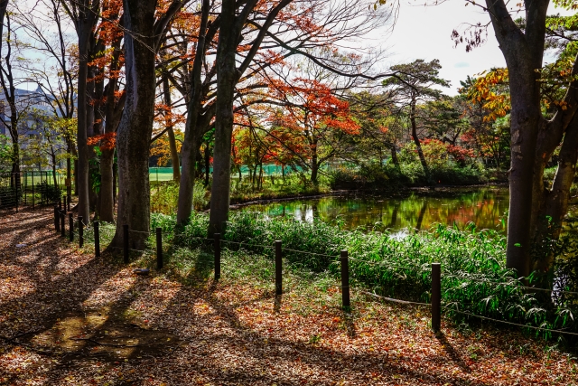 東京　世田谷