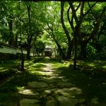 西芳寺　苔寺