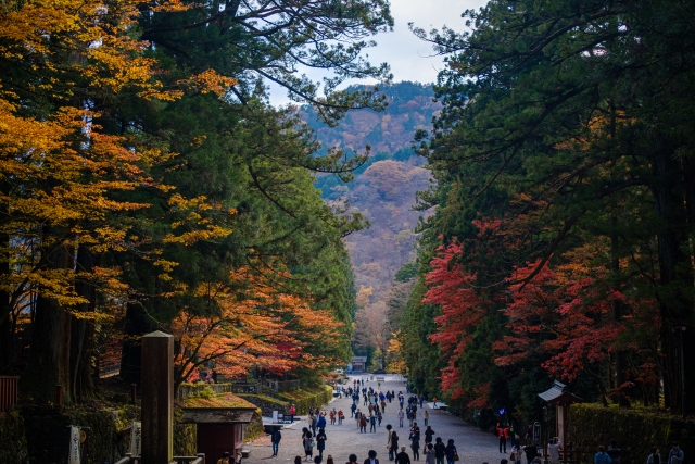 日光　お寺　神社　仏閣　風景