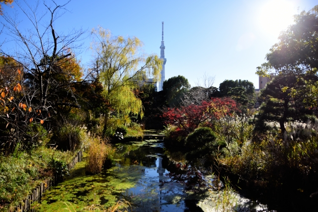 向島百花園　公園