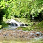 風景　自然　千葉　養老渓谷