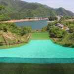 アクティビティ