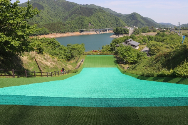 アクティビティ