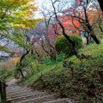 日本　庭園　公園　風景　自然　百草園