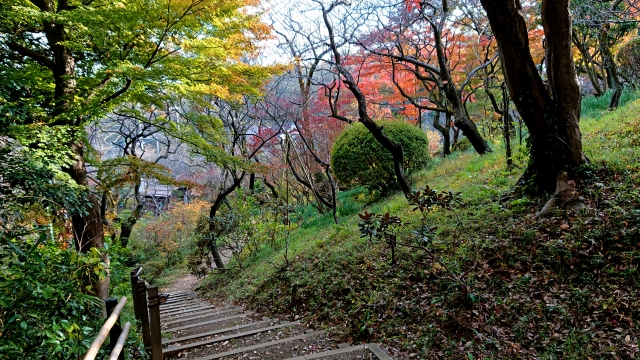 日本　庭園　公園　風景　自然　百草園
