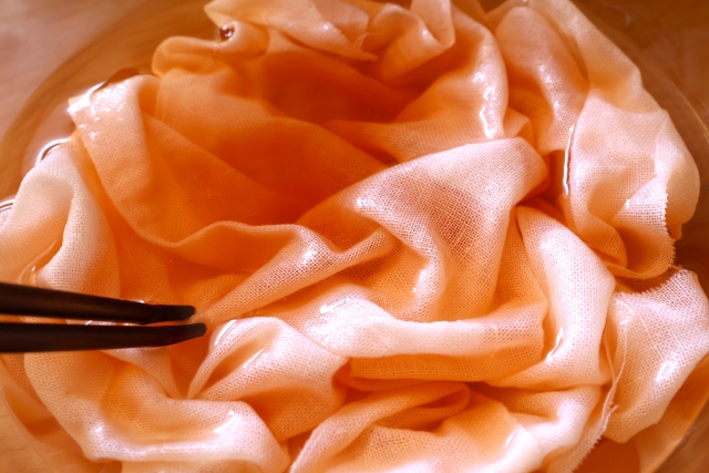 インテリア　草木染　生地　ファッション　アクティビティ　ワークショップ