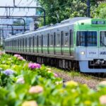 電車　井の頭線