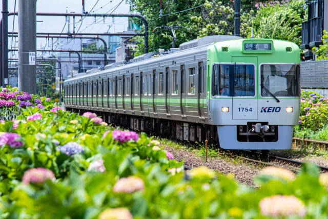 電車　井の頭線