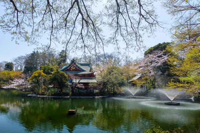 井の頭公園　公園