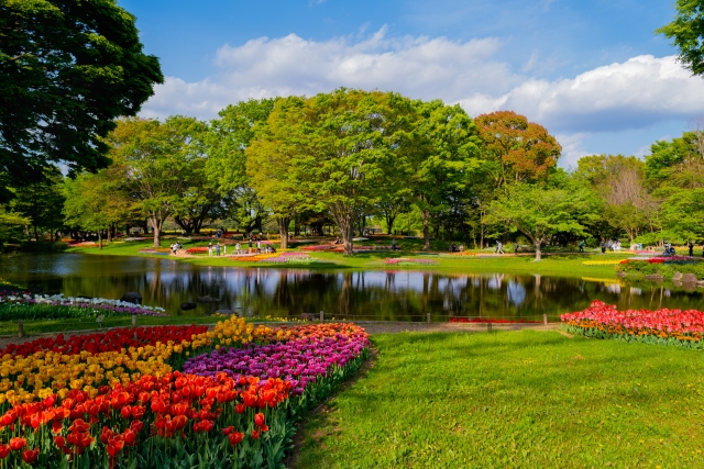 東京　立川　昭和記念公園