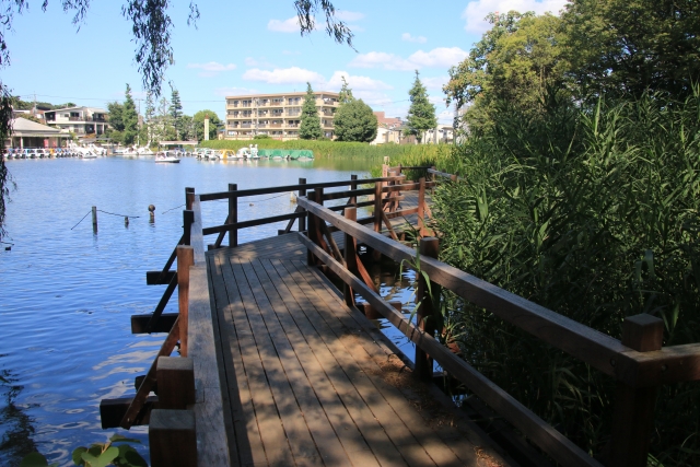 石神井公園　公園