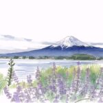 河口湖　富士山　風景