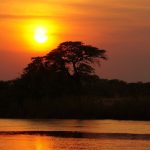 ボツワナ　世界遺産　夕陽　自然　風景　絶景