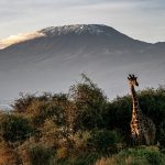 タンザニア　自然　世界遺産　風景