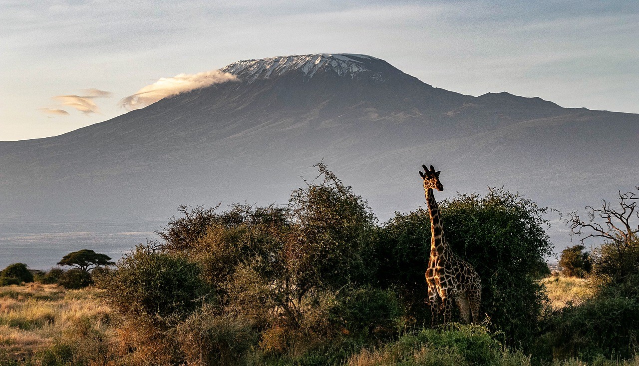 タンザニア　自然　世界遺産　風景