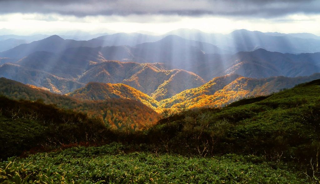 世界遺産　自然　風景