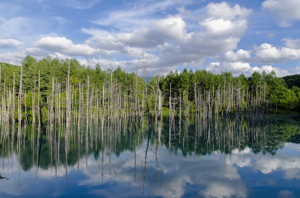 北海道　風景　自然