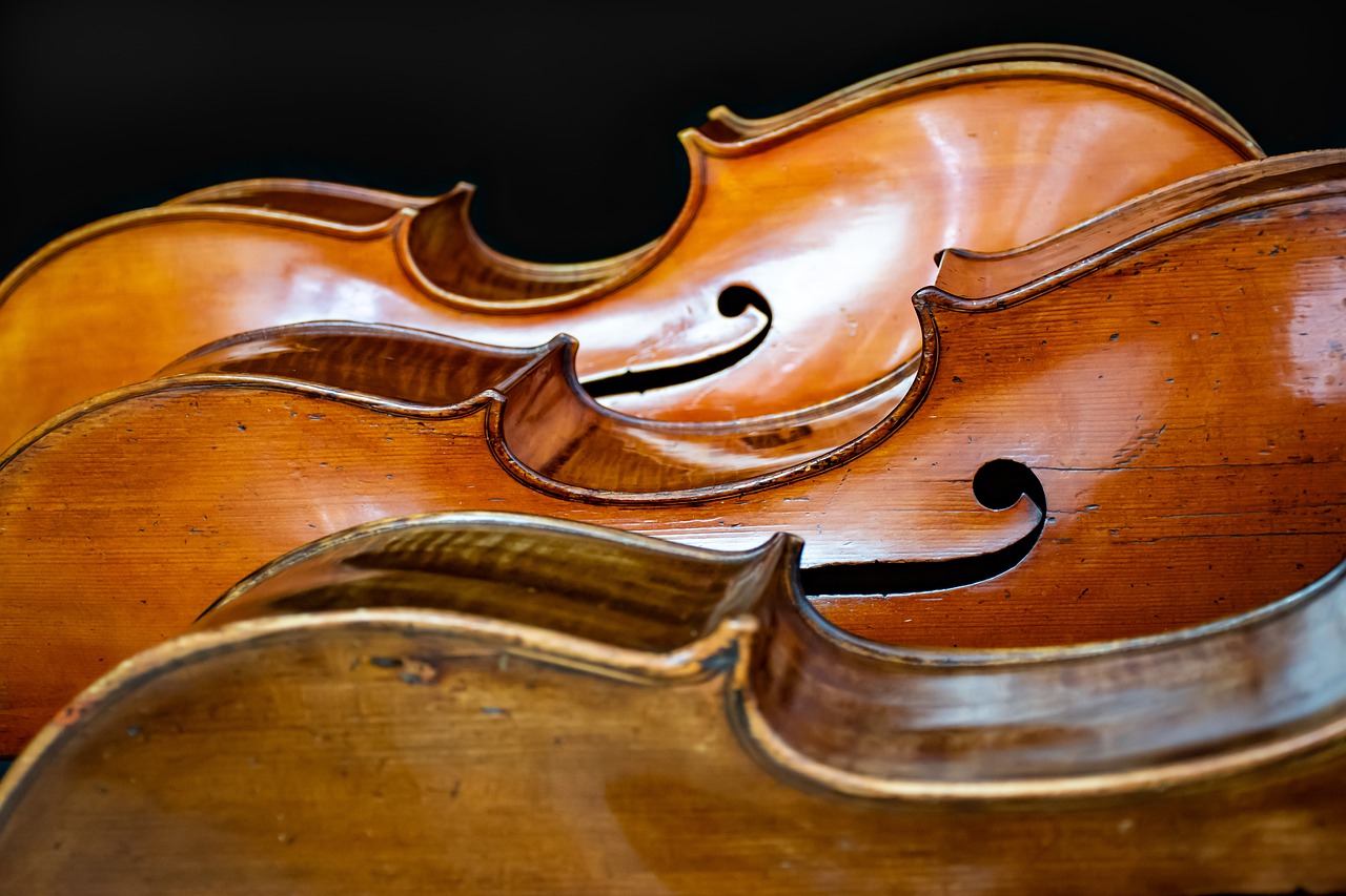 バイオリン　楽器