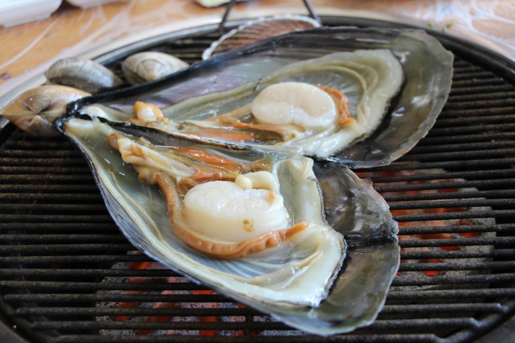 貝類　海鮮　食事　和食