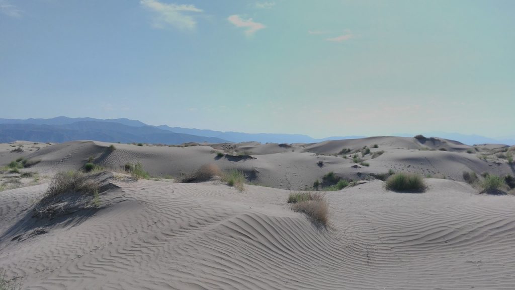 砂漠　風景　自然　メキシコ　世界遺産