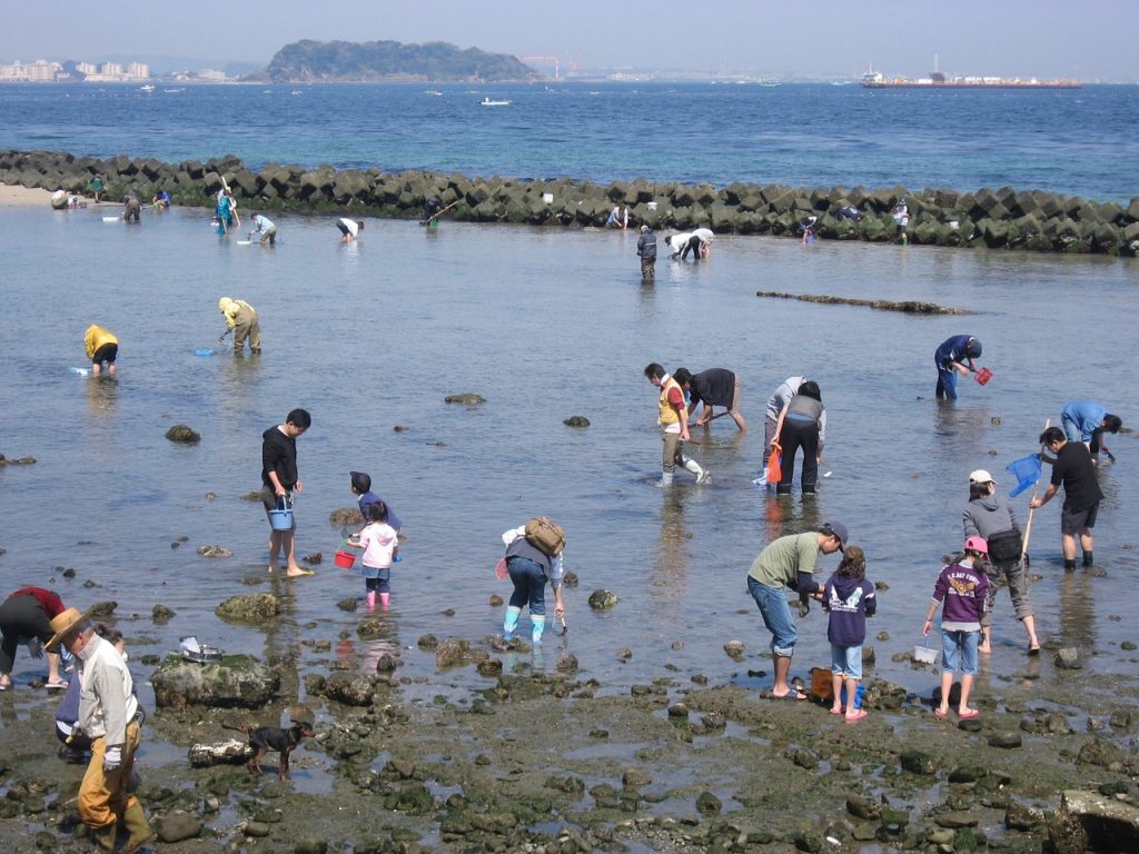 潮干狩り　海岸　風景