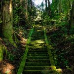 風景　山道　自然