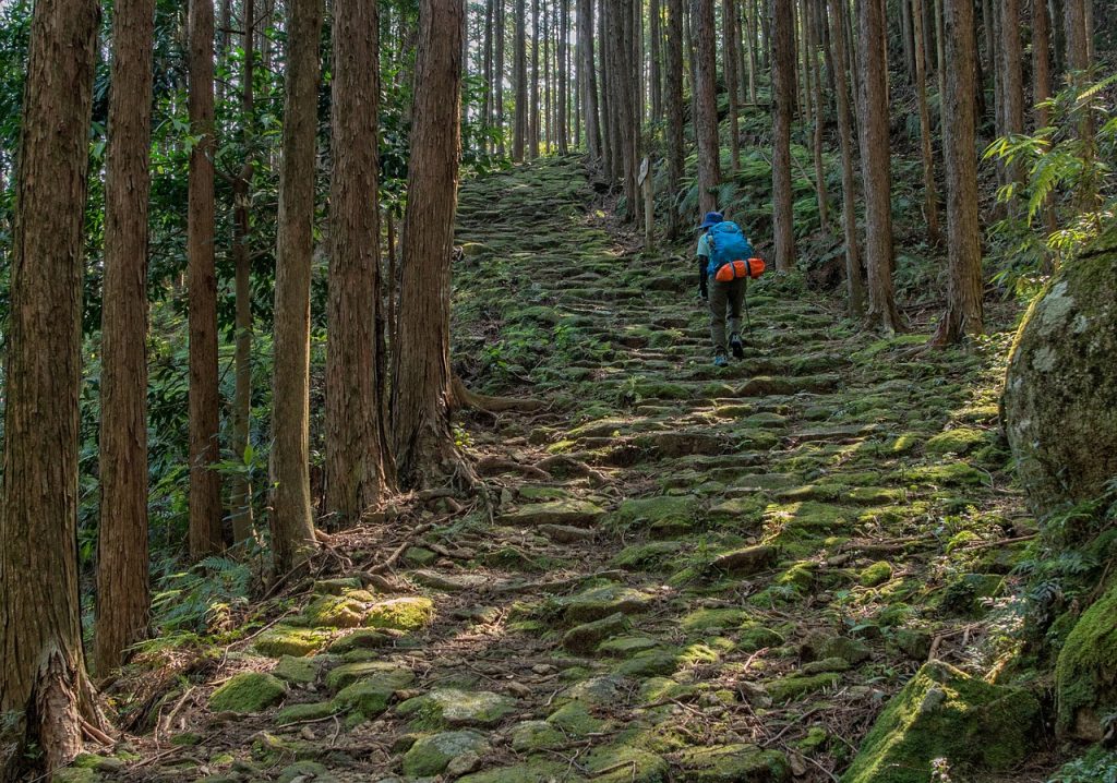 山道　自然　風景