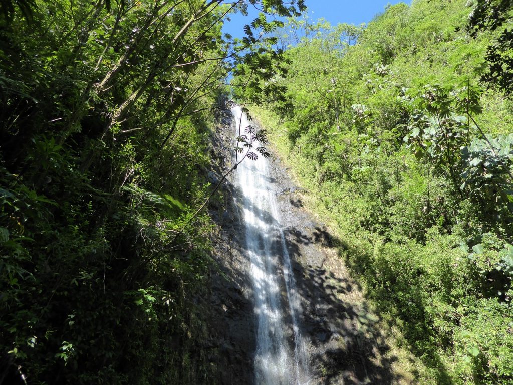 ハワイ　風景　自然