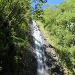 ハワイ　風景　自然