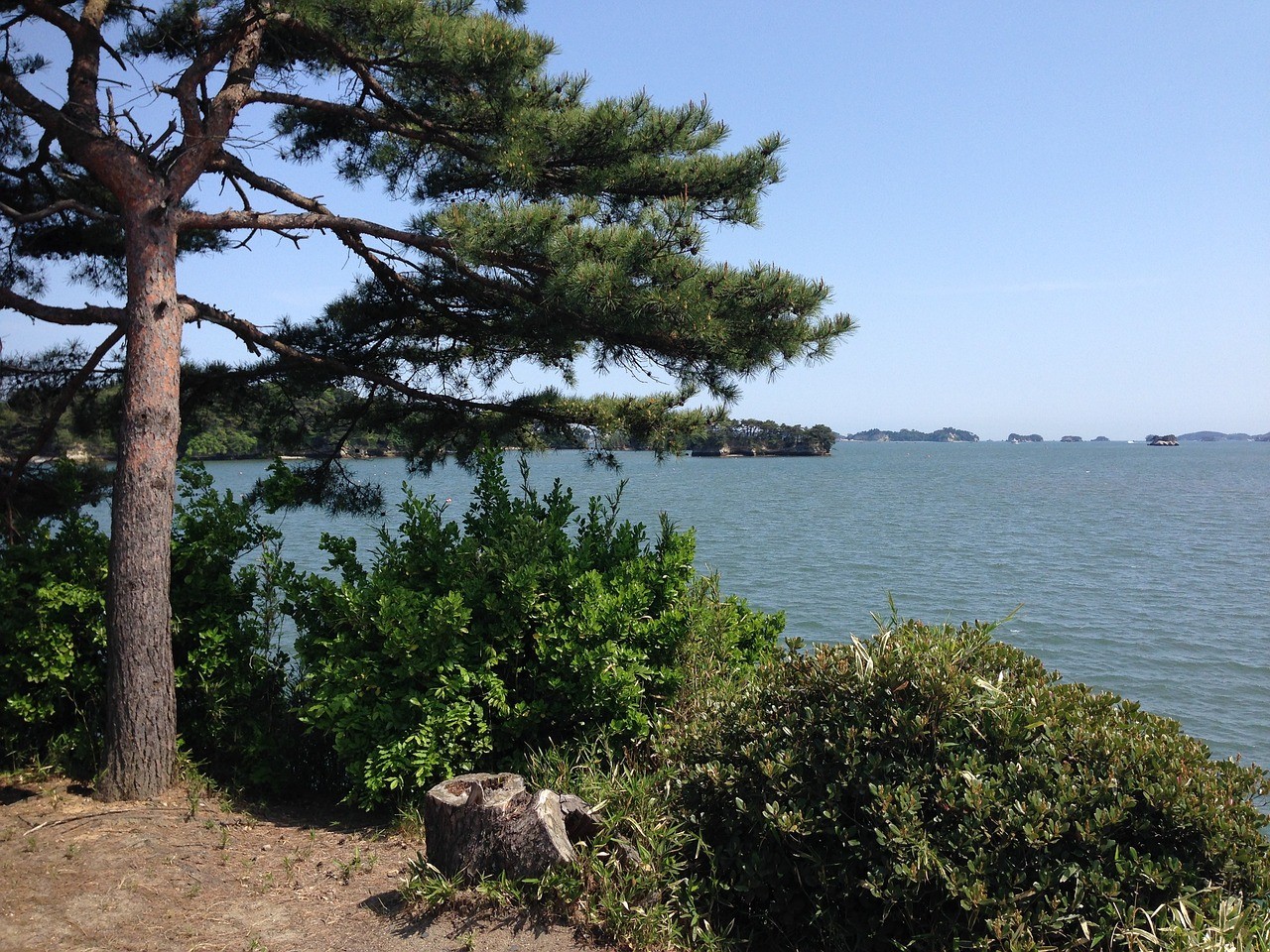 松島　風景　海岸　自然