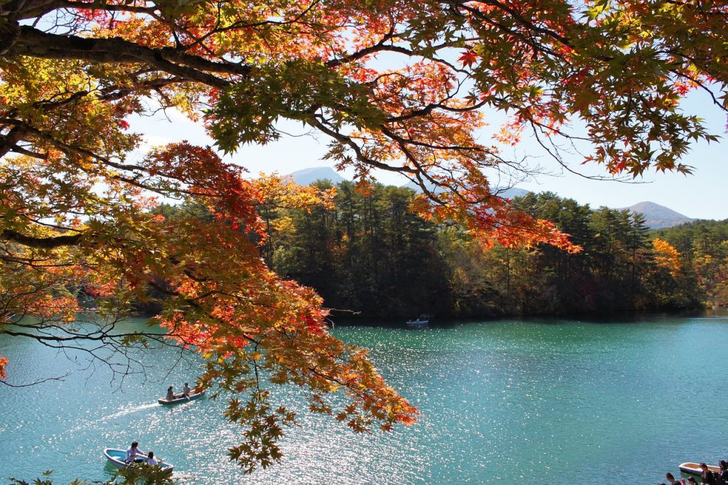 紅葉　自然　風景