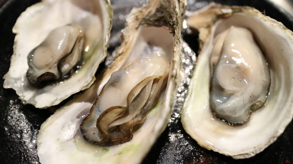 牡蠣　海鮮　食事　和食