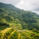 フィリピン　棚田　世界遺産