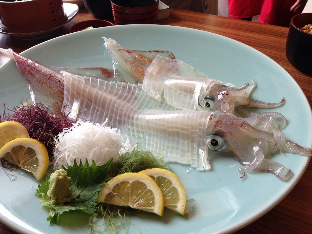 いか　海鮮　刺身　食事　和食