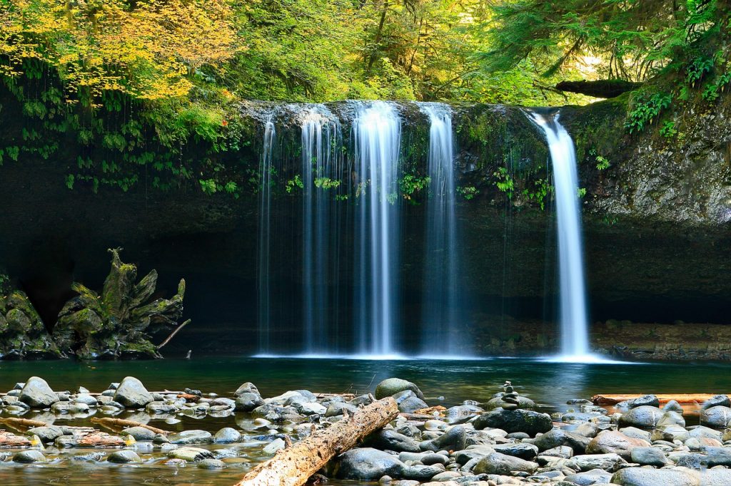 たき　自然　風景