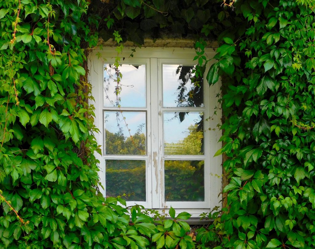 植物　建築　風景　イメージ